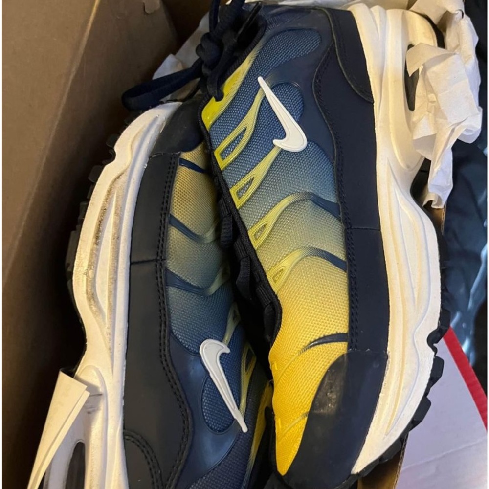 Nike Air Max Plus